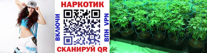 Цена Подольск Alpha-PVP  Галлюциногенные грибы  Cocaine  МЕФ  Амфетамин  ГАШ  Каннабис 