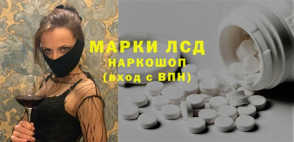 гашик Алексин