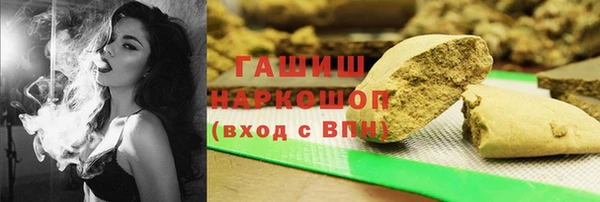 гашик Алексин