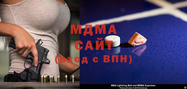гашик Алексин
