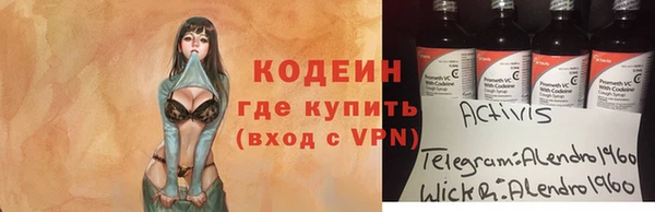 гашик Алексин