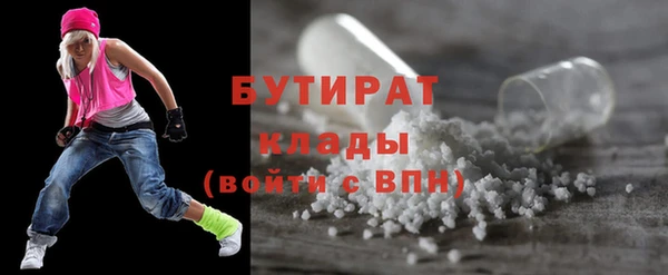 гашик Алексин
