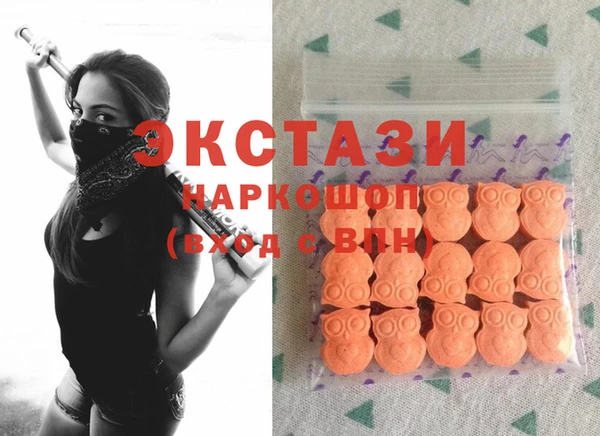гашик Алексин