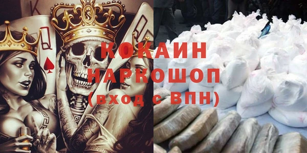 гашик Алексин