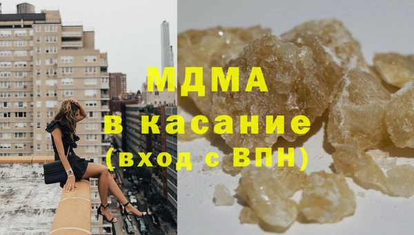 гашик Алексин
