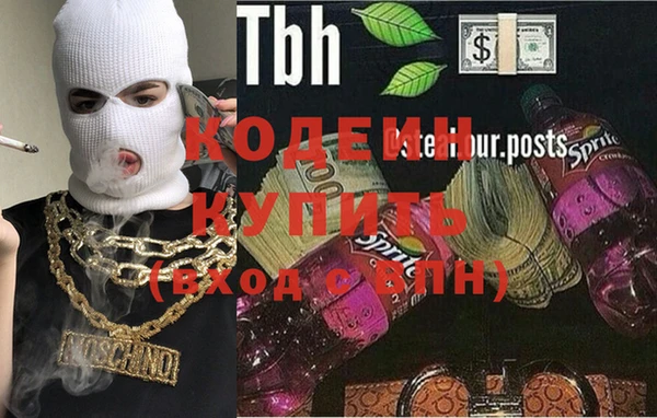 гашик Алексин