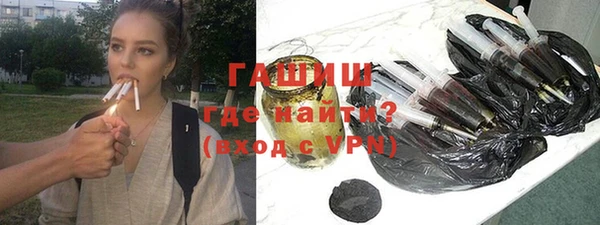 гашик Алексин